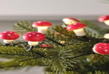 Fliegenpilz Kaufen: A Complete Insight On It